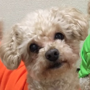 とちぎ