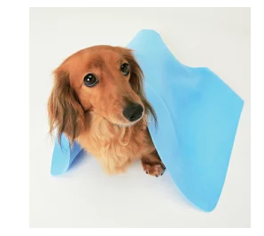犬用の吸水タオルの参考画像