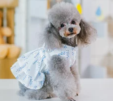 安くて可愛い夏用シンプルワンピース犬服の参考画像