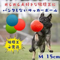 頑丈なボールと犬の画像