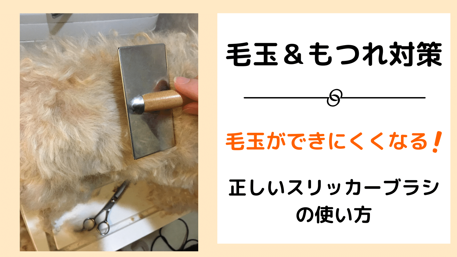 毛玉の対策と予防ができる 正しい犬のブラッシング方法とは 動画あり みんなの犬の情報館