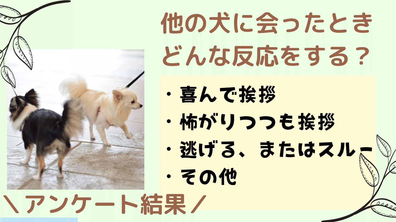 お散歩で他の犬と会ったとき 愛犬はどういう反応をする ９４人に聞いたアンケート結果 まいにちしあわせ