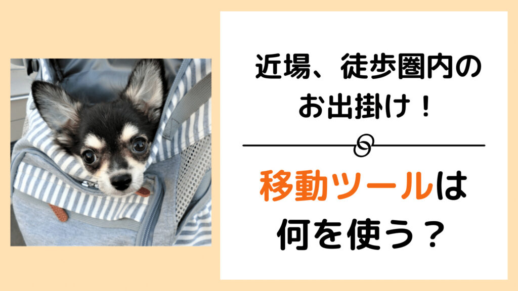 犬と徒歩圏内や近場のお出掛け 移動ツールはどんな物がある みんなの犬の情報館