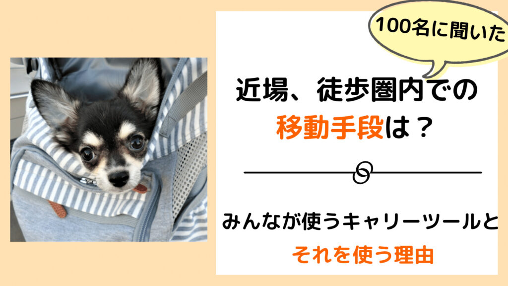 小型犬と徒歩圏内や近場のお出掛け 移動方法はどうする 何を使う みんなの犬の情報館