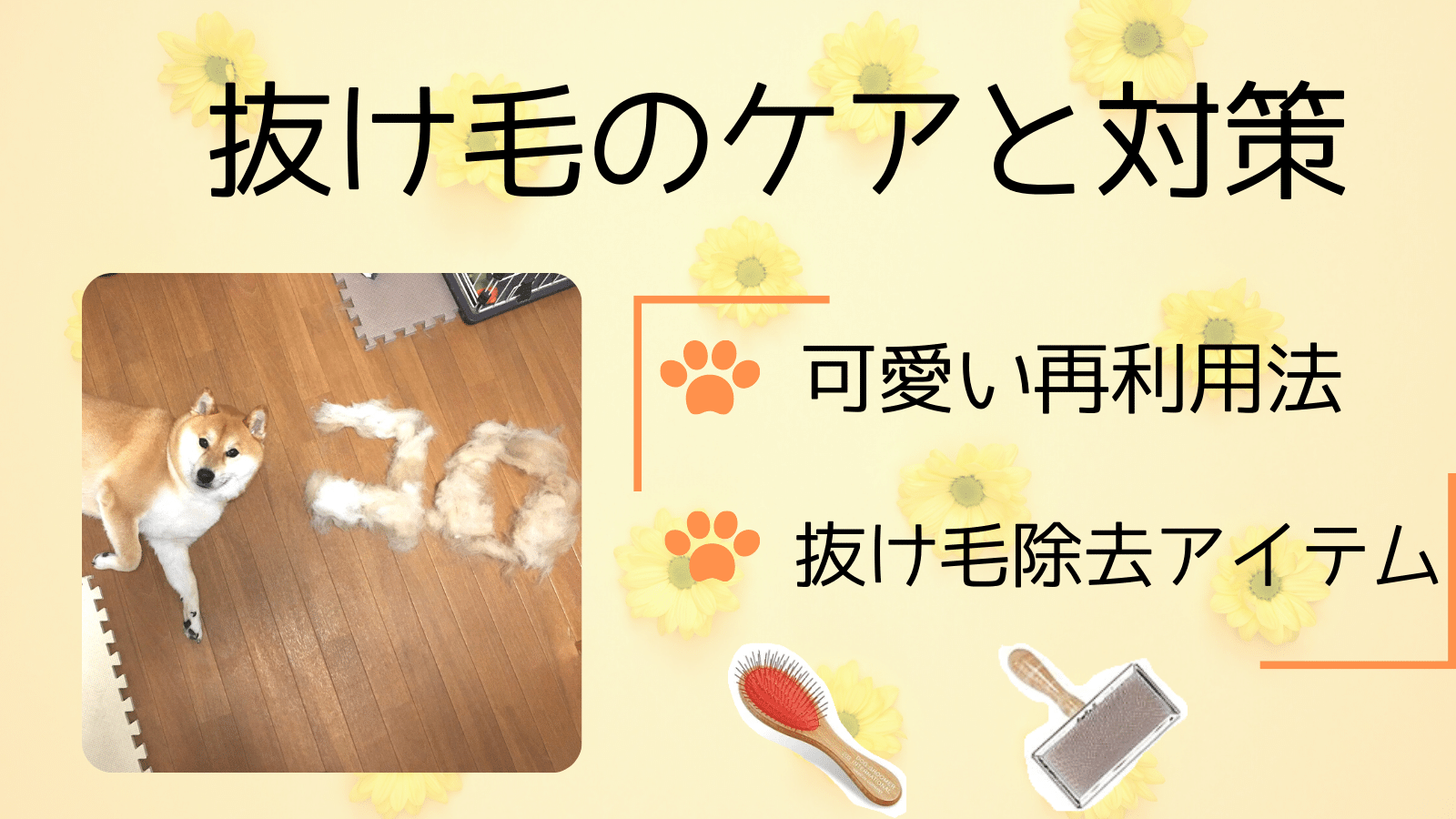 トリマーが教える 犬の抜け毛対策とケア 可愛い再利用法 まいにちしあわせ