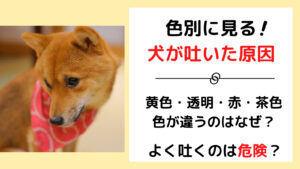 犬が季節の変り目に体調を崩す 元気がない 理由と対策を知ろう みんなの犬の情報館