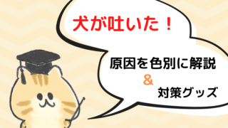 犬用アイスを与えるメリットと愛犬に食べさせたいおすすめアイスクリーム まいにちしあわせ