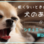 犬の耳垢の正常な色と異常な色 主な症状とその原因について みんなの犬の情報館