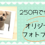250円で愛犬のアルバム(フォトブック)が作れるアプリを使ってみた!