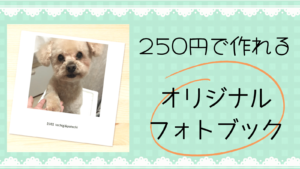 250円で愛犬のアルバム（フォトブック）が作れるアプリを使ってみた！