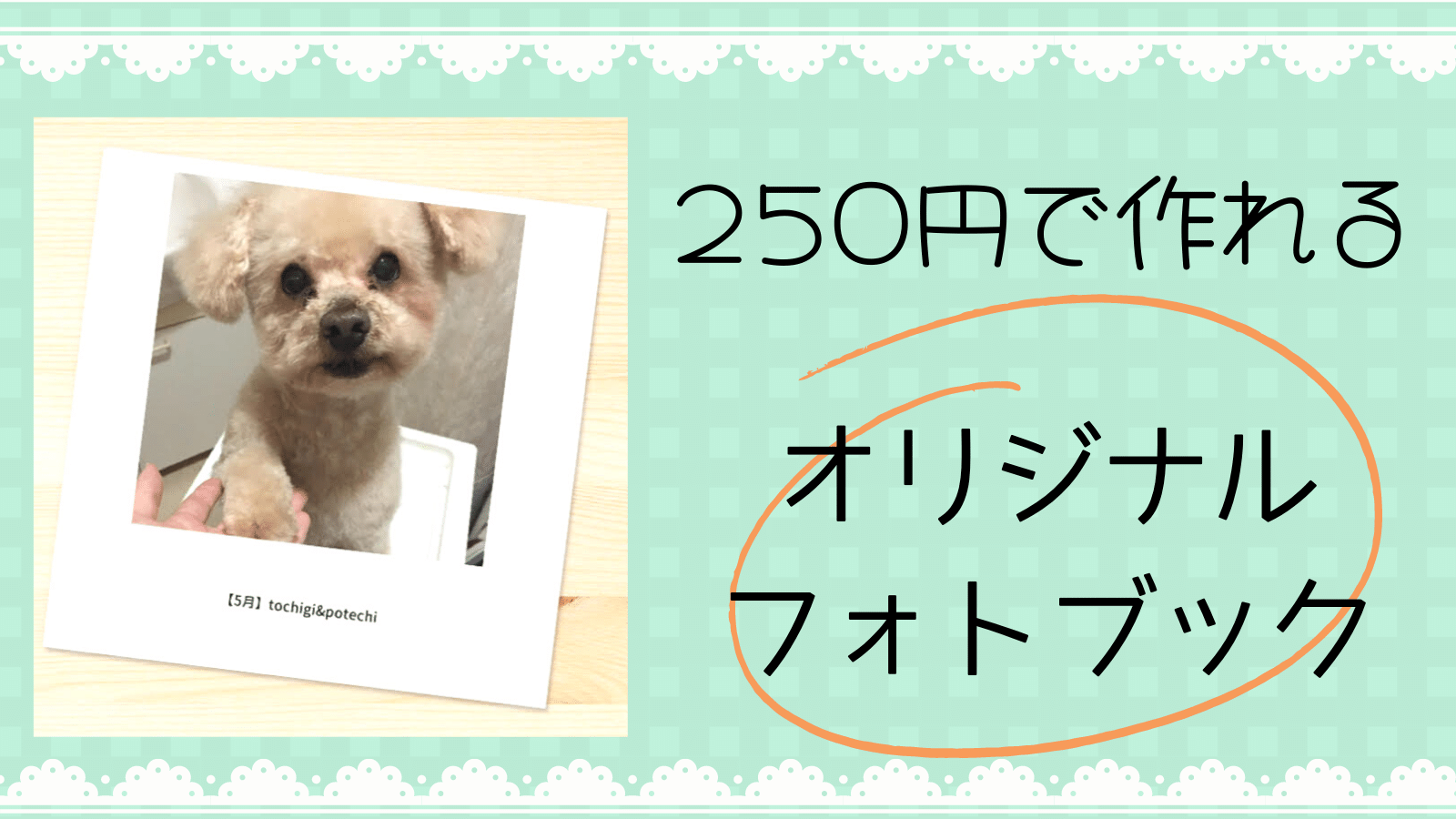 ２５０円で作れる愛犬のフォトブックを作ってみた！