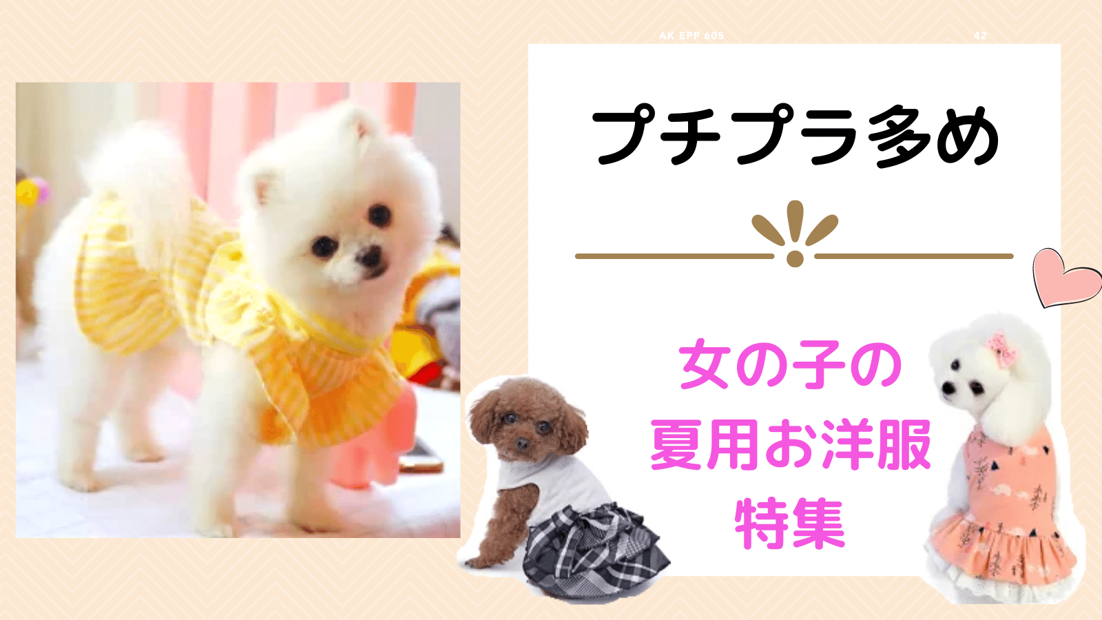 安いのに可愛い 女の子の夏用犬服おすすめ１２選 まいにちしあわせ