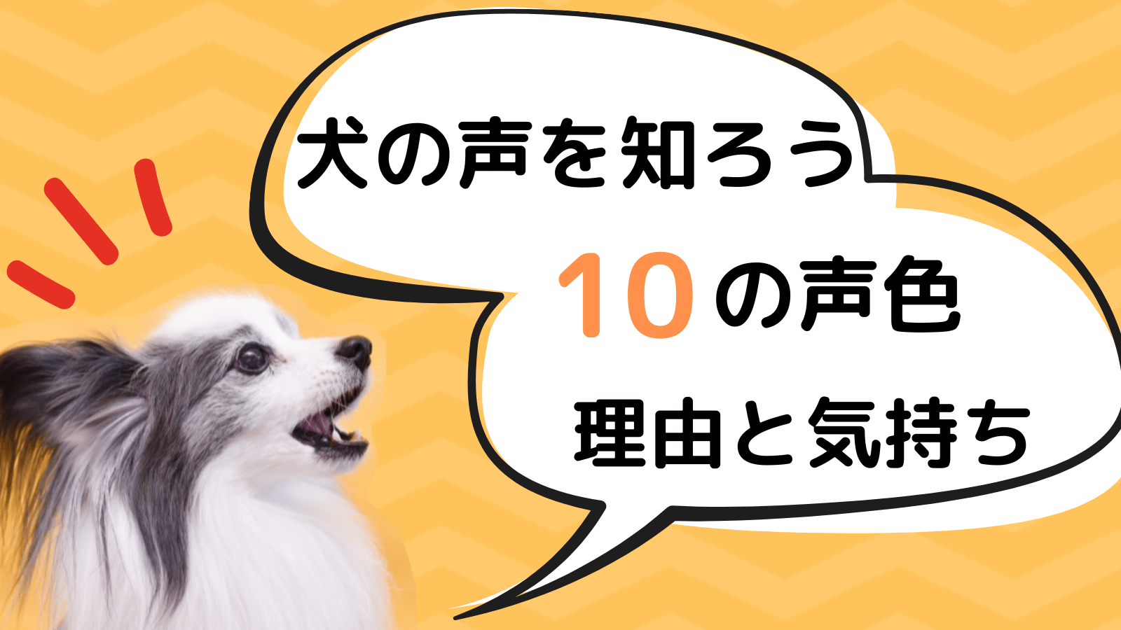 犬の声の意味と気持ち10パターンを解説！