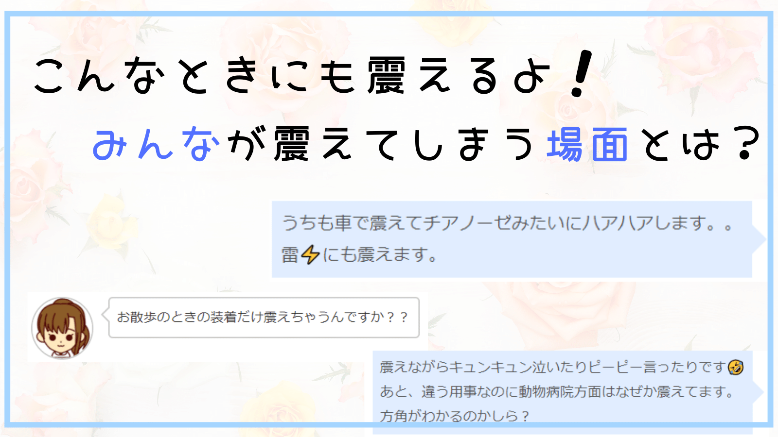 犬が震えるのはどんなとき 愛犬家から聞いた８つの場面をご紹介 みんなの犬の情報館