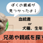 愛犬の親戚や兄弟姉妹を探す方法を解説！血統書なしでも大丈夫！