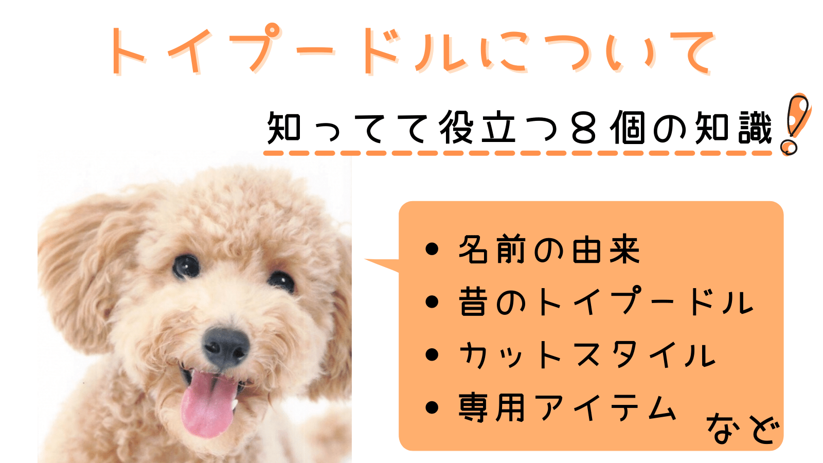 犬図鑑 トイプードル ８個の知っておきたいことと豆知識 みんなの犬の情報館