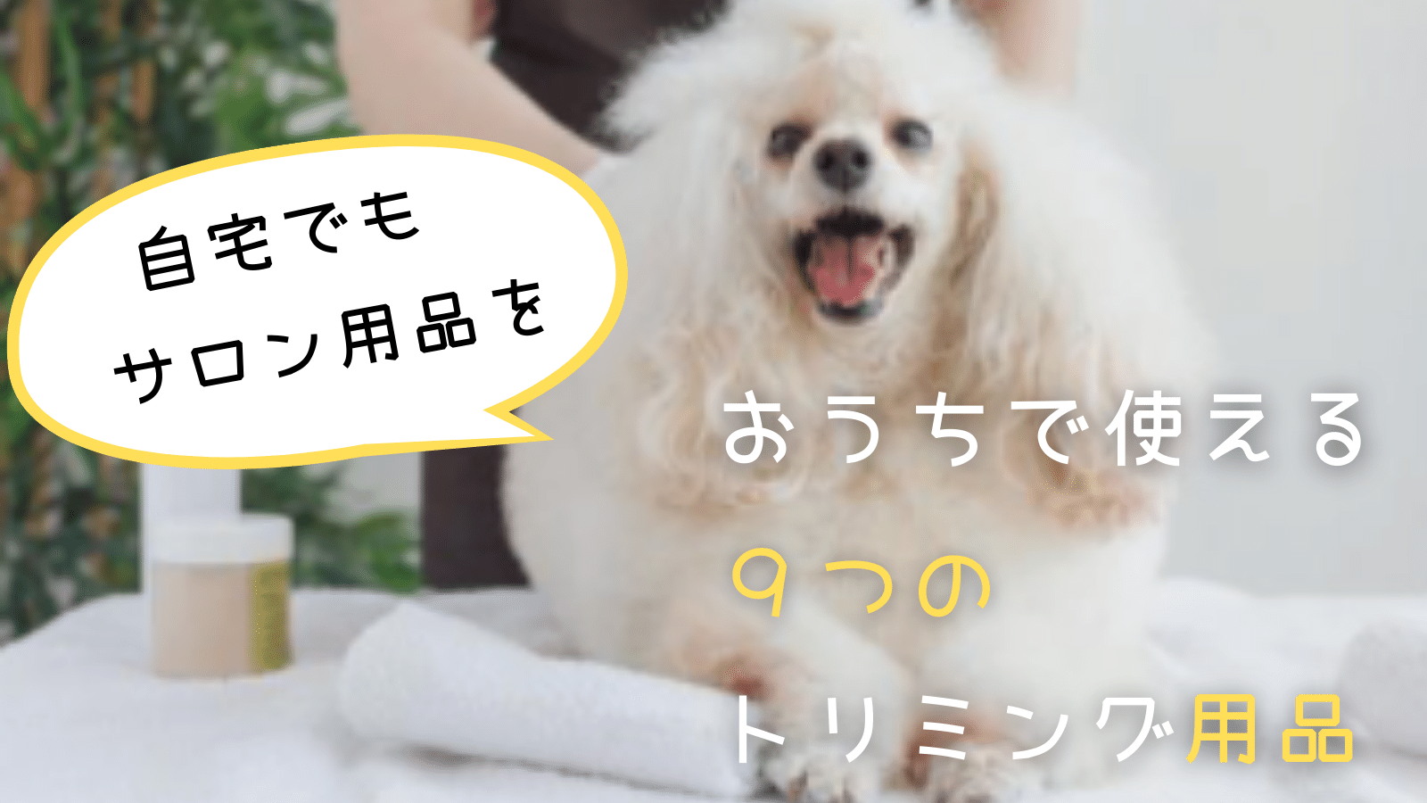 セルフトリミングで大活躍 トリミングサロンで使っている犬のトリミング用品９選 みんなの犬の情報館