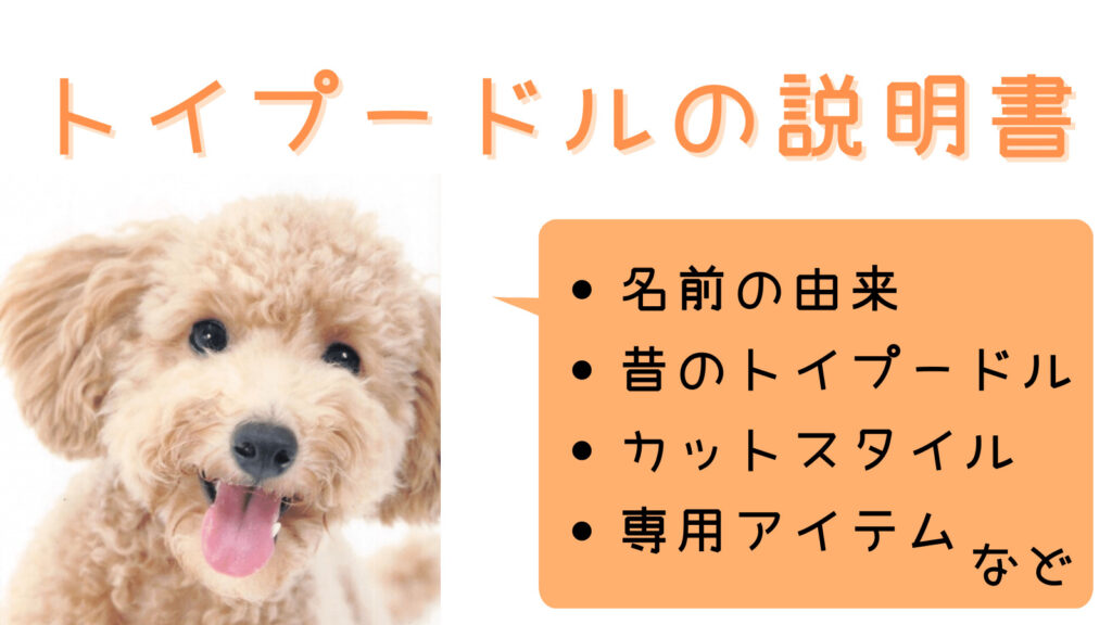 【犬図鑑】トイプードルに詳しくなれる説明書