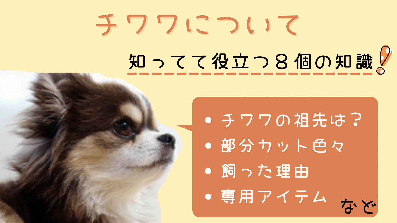 チワワについて8つの知っておきたい事と豆知識