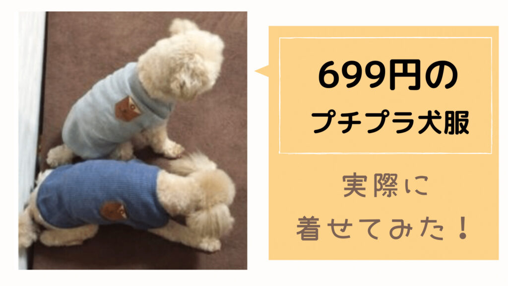 【レビュー】699円で買ったプチプラ犬服の着心地やいかに！？