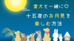 愛犬と一緒に十五夜のお月見を楽しむ方法のアイキャッチ画像