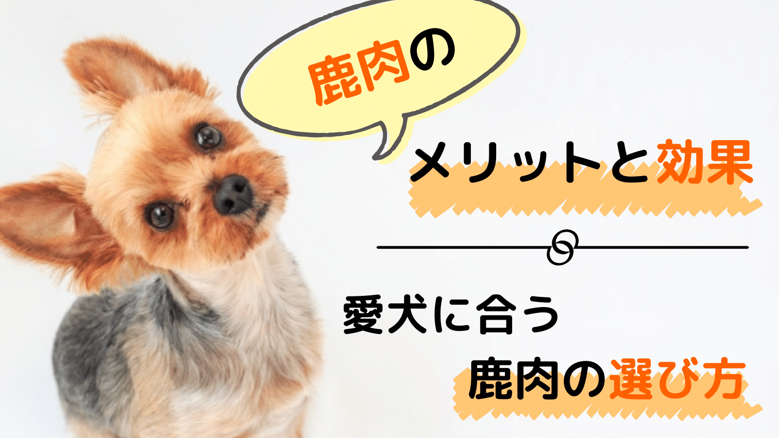 完全ガイド 犬に鹿肉を食べさせるメリットデメリットと上手な選び方 みんなの犬の情報館