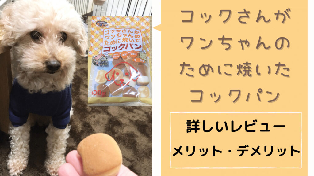 犬用パンを愛犬にあげてみた！【コックさんがワンちゃんのために焼いたコックパン】