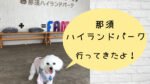 那須ハイランドパークに愛犬と行ってきた！