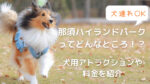 犬連れOK!那須ハイランドパークってどんなところ?