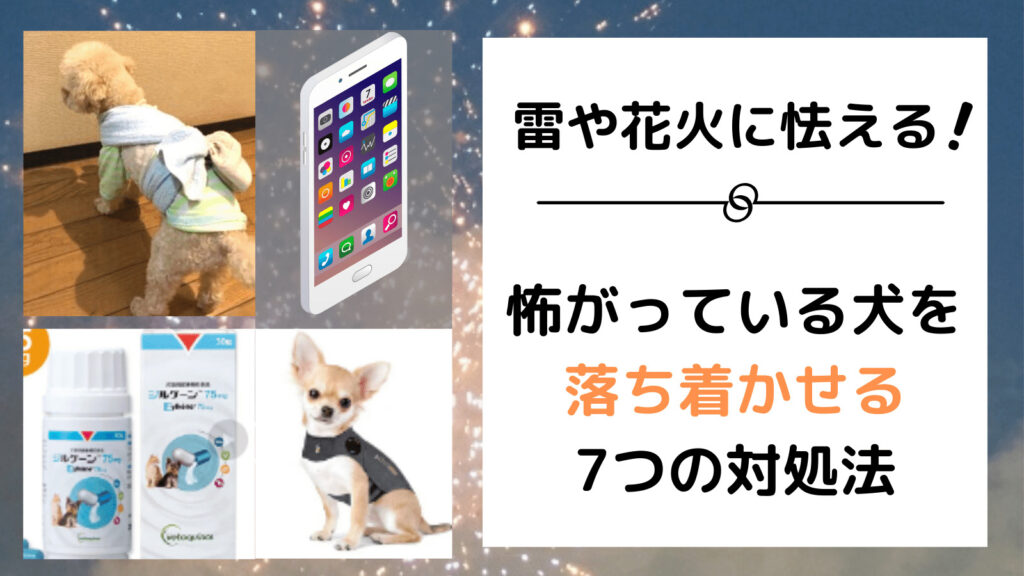 犬が雷や花火を怖がるときに 犬を落ち着かせるための7つの対処法 みんなの犬の情報館