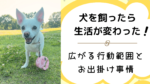 生活に大きな変化！犬を飼い始めてから変わったお出掛け事情