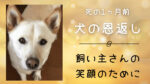 【犬の恩返し】愛犬の死の1ヵ月前のまさかの出来事