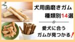 犬用歯磨きガムの記事のアイキャッチ画像